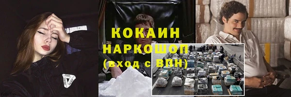 шишки Лабытнанги