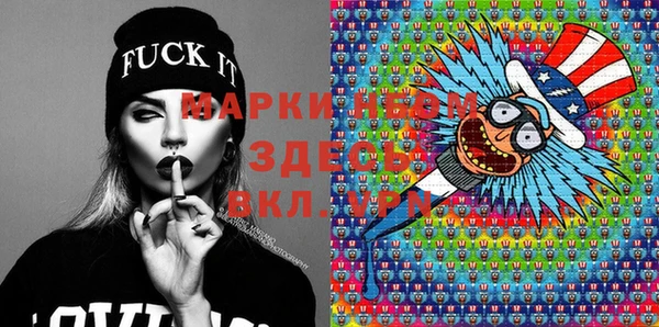 шишки Лабытнанги