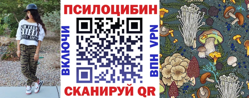 Купить где  Назрань  Галлюциногенные грибы GOLDEN TEACHER 